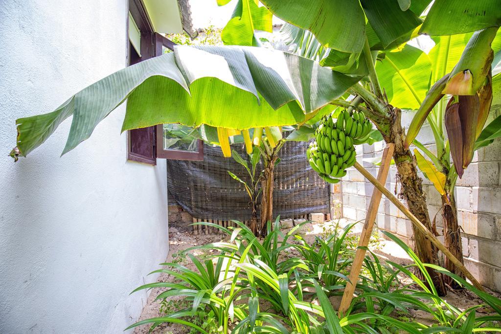 Red Flower Cottages Homestay Hoi An Exterior photo