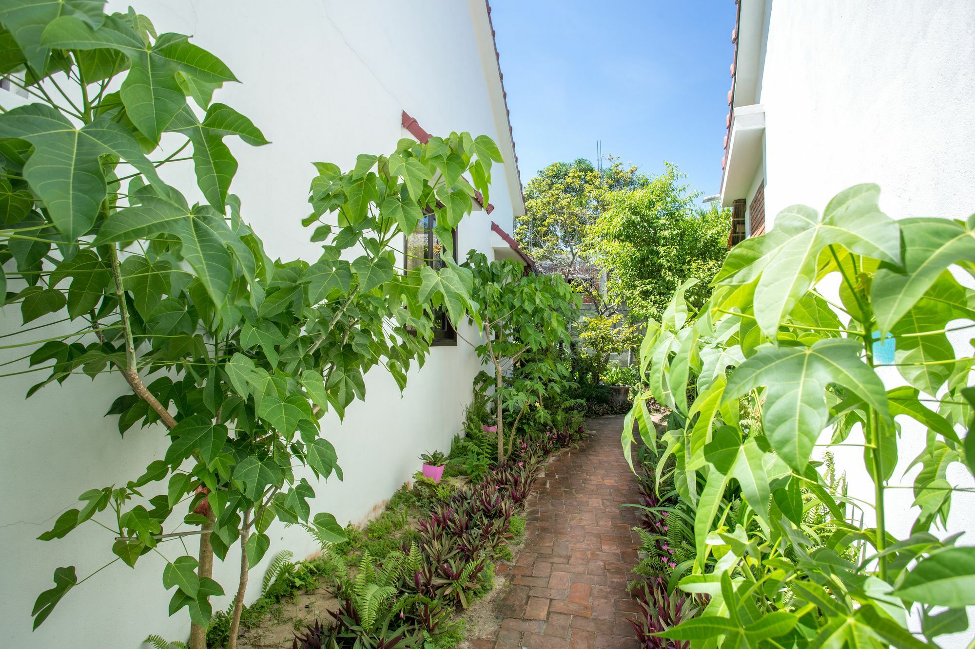Red Flower Cottages Homestay Hoi An Exterior photo